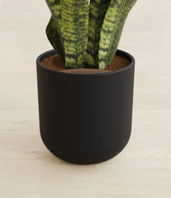 Load image into Gallery viewer, Stone Black stand:all