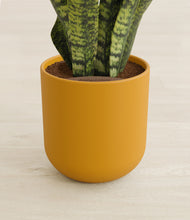 Load image into Gallery viewer, Sunset Orange stand:all