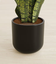 Load image into Gallery viewer, Stone Black stand:all