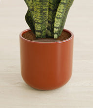 Load image into Gallery viewer, Glossy Red stand:all