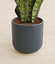 Load image into Gallery viewer, Iron Gray stand:all