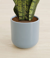 Load image into Gallery viewer, Misty Blue stand:all