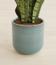 Load image into Gallery viewer, Reactive Aqua stand:all