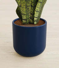 Load image into Gallery viewer, Twilight Blue stand:all