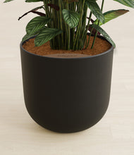 Load image into Gallery viewer, Stone Black stand:all