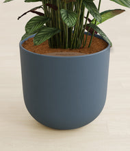 Load image into Gallery viewer, Iron Gray stand:all