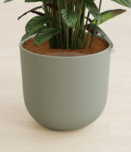 Load image into Gallery viewer, Sage Green stand:all