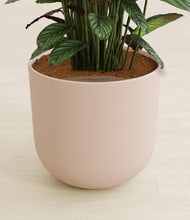 Load image into Gallery viewer, Sandy Pink stand:all