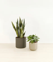 Load image into Gallery viewer, Forest Moss*****Profile