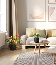 Load image into Gallery viewer, Graphite