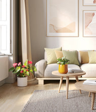 Load image into Gallery viewer, Tiger Lily