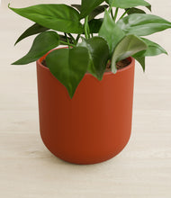 Load image into Gallery viewer, Earth Red stand:all