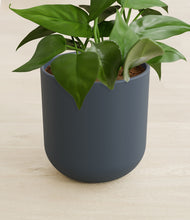 Load image into Gallery viewer, Iron Gray stand:all