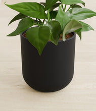 Load image into Gallery viewer, Stone Black stand:all