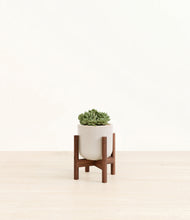 Load image into Gallery viewer, Snowdrift White stand:walnut