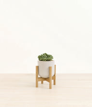 Load image into Gallery viewer, Snowdrift White stand:bamboo