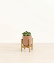 Load image into Gallery viewer, Hammered Peach Pink stand:bamboo