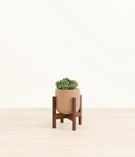 Load image into Gallery viewer, Striped Peach Pink stand:walnut