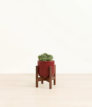Load image into Gallery viewer, Striped Cherry Red stand:walnut