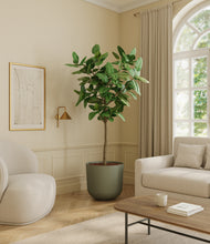 Load image into Gallery viewer, Sage Green*****Profile