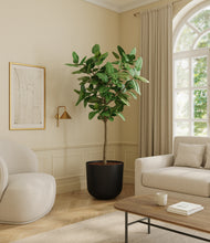 Load image into Gallery viewer, Stone Black*****Profile