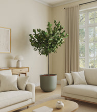 Load image into Gallery viewer, Sage Green*****Profile