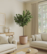 Load image into Gallery viewer, Sandy Pink*****Profile