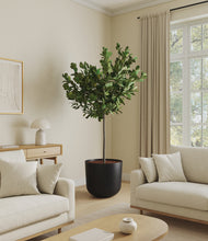 Load image into Gallery viewer, Stone Black*****Profile