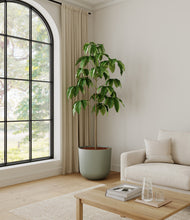 Load image into Gallery viewer, Sage Green*****Profile