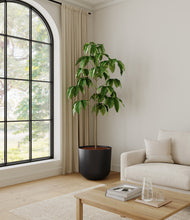 Load image into Gallery viewer, Stone Black*****Profile