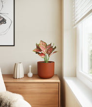 Load image into Gallery viewer, Earth Red