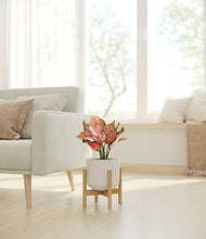 Load image into Gallery viewer, Natural Bamboo stand:bamboo