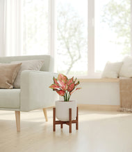 Load image into Gallery viewer, Natural Bamboo stand:walnut