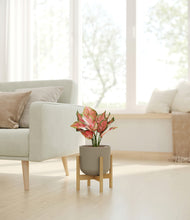 Load image into Gallery viewer, Sage Green stand:bamboo