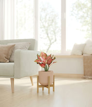 Load image into Gallery viewer, Sandy Pink stand:bamboo