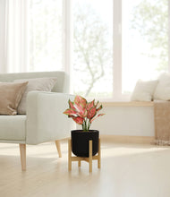 Load image into Gallery viewer, Stone Black stand:bamboo