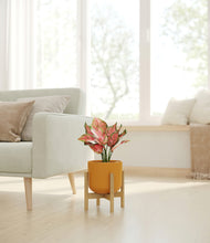 Load image into Gallery viewer, Sunset Orange stand:bamboo