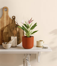 Load image into Gallery viewer, Earth Red