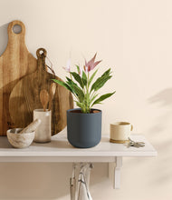 Load image into Gallery viewer, Iron Gray