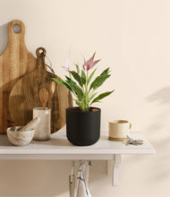 Load image into Gallery viewer, Stone Black