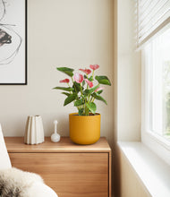 Load image into Gallery viewer, Sunset Orange