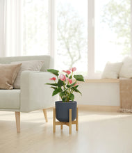 Load image into Gallery viewer, Iron Gray stand:bamboo