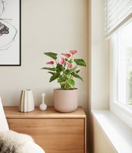 Load image into Gallery viewer, Sandy Pink