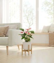 Load image into Gallery viewer, Natural Bamboo stand:bamboo