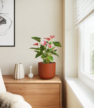 Load image into Gallery viewer, Earth Red