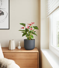 Load image into Gallery viewer, Iron Gray