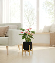 Load image into Gallery viewer, Stone Black stand:bamboo