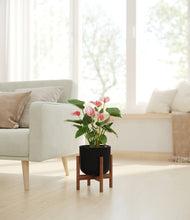 Load image into Gallery viewer, Stone Black stand:walnut