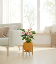 Load image into Gallery viewer, Sunset Orange stand:bamboo