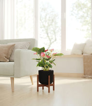 Load image into Gallery viewer, -